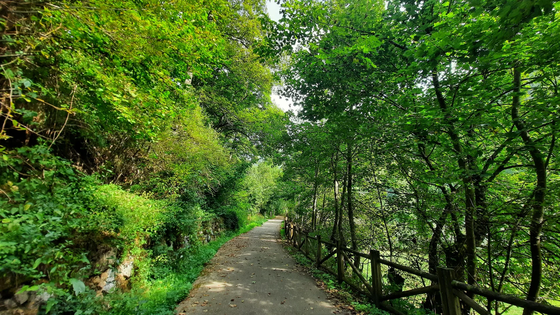 Sendero de la Vía Verde de Laciana entre naturaleza y patrimonio minero